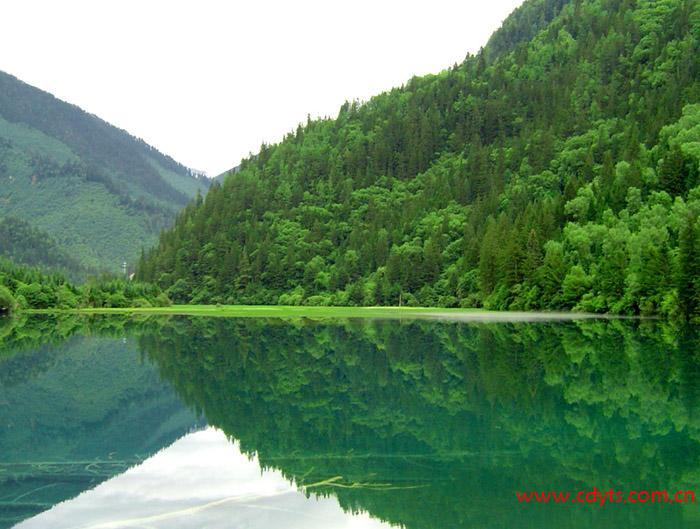 【日出金顶】成都到峨眉山金顶（看日出）+乐山大佛汽车纯玩二日游线路、峨眉山二日游多少钱