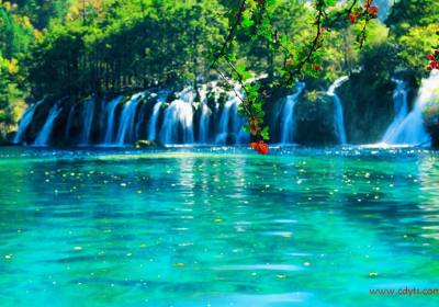 【四川成都七日游】全国出发到成都+九寨沟（高铁）+黄龙+熊猫基地+三星堆博物馆+乐山大佛+黄龙溪古镇汽车七日游线路、四川成都七日游多少钱