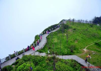 成都到乐山大佛(登山/游船)+黄龙溪古镇汽车纯玩一日游、乐山大佛旅游多少钱、乐山大佛旅游线路报价