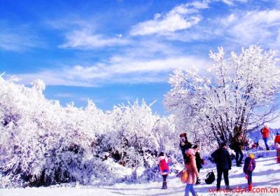 成都到西岭雪山纯玩一日游、西岭雪山旅游多少钱、西岭雪山旅游线路报价