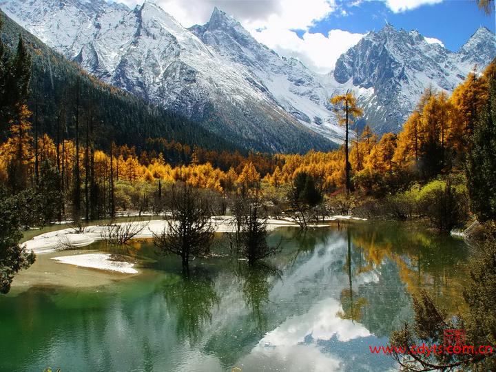 1226396535467_mthumb