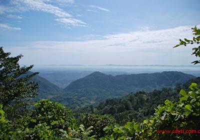 成都到碧峰峡风景区+动物园、上里古镇汽车二日游、碧峰峡旅游多少钱、碧峰峡旅游线路报价