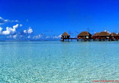 成都到斯里兰卡 、马尔代夫半自由行七晚九日游、斯里兰卡旅游多少钱、斯里兰卡旅游线路报价