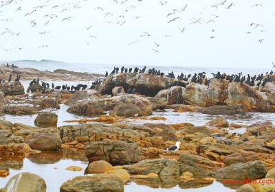 成都到南非+纳米比亚十五日游、南非旅游跟团报价多少钱