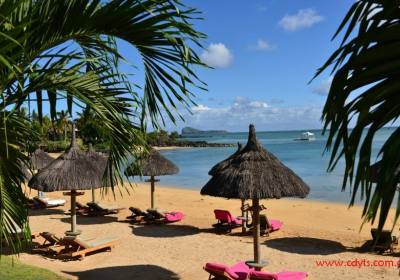 成都到毛里求斯距离