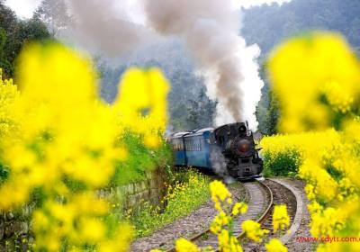 成都到嘉阳小火车、看油菜花VIP汽车一日游、嘉阳旅游多少钱、嘉阳旅游线路报价