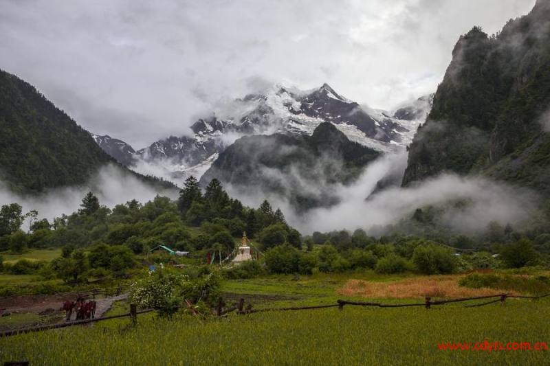 32956208_1397042797779_mthumb