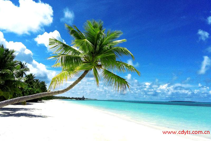 W020121017593973094960