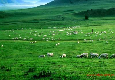 成都到山西五台山、平遥古城、云冈石窟、乔家大院、响沙湾、希拉穆仁草原、成吉思汗陵双卧九日游、山西旅游多少钱、山西旅游线路报价