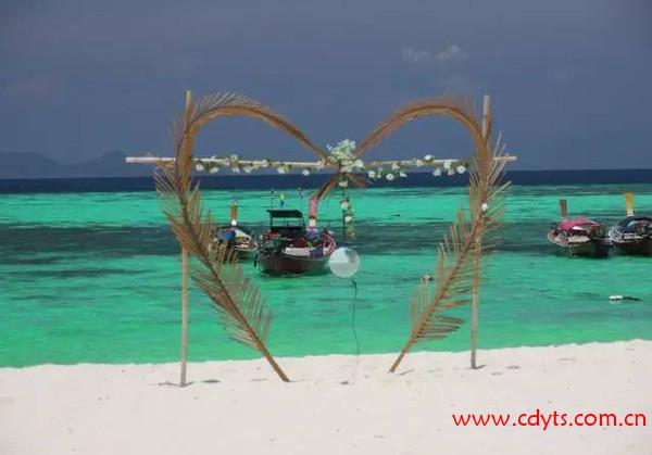 8ca8337f9fd5432ca945eb894f4d654a_th