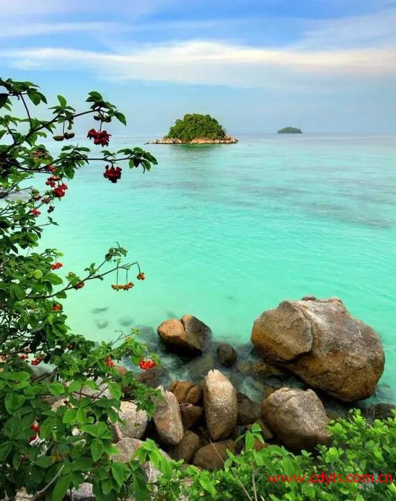 7d17f3fe29d74d5ca390be7953445e4d_th