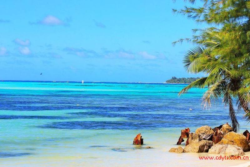 233350_233350_1417696090144_mthumb