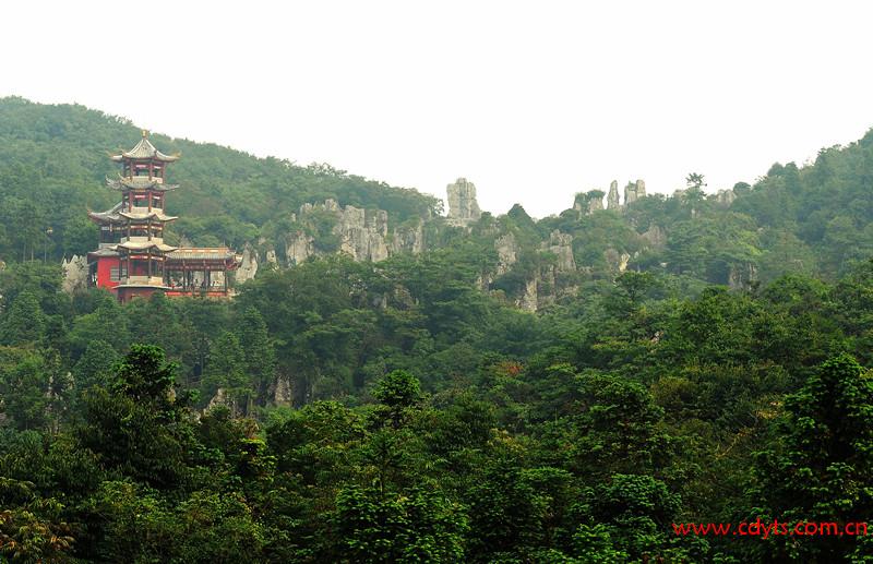 993202_20131125114310_2