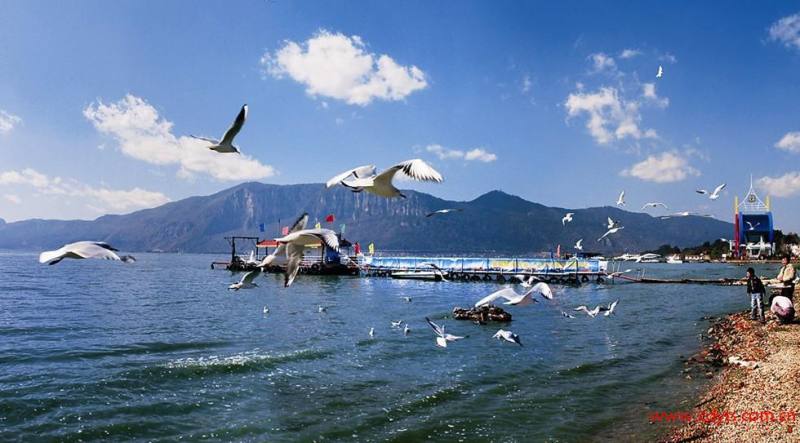 100600uu5juwfntw8dj5wm