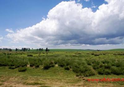 成都到肯尼亚什么时候去好、什么季节去最合适