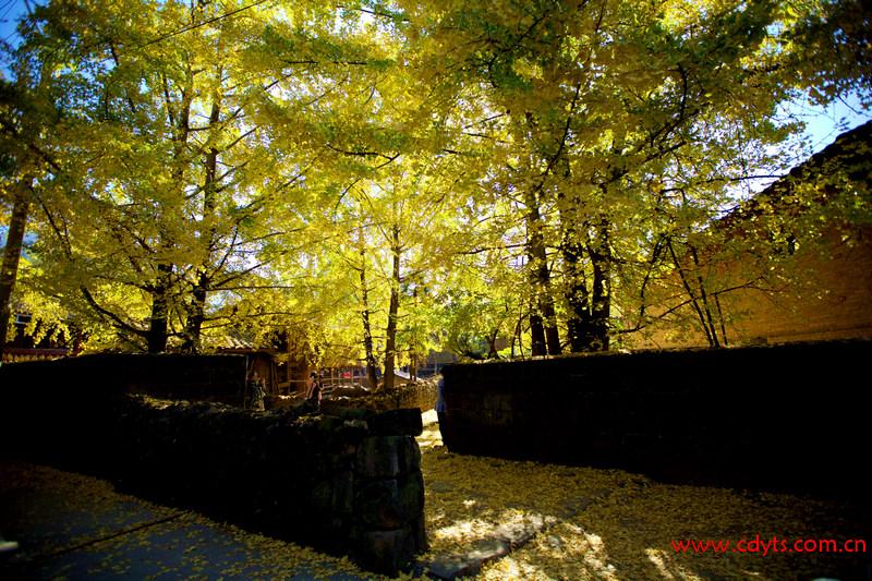 userid176351time20091216025805at61