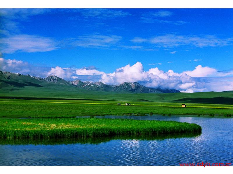 1131996054_489531503