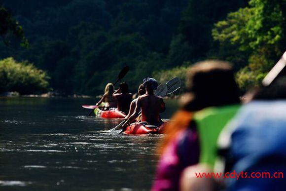 b14735adcbef76094cc7088927dda3cc7dd99e0f