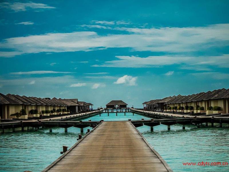 d12ca1b214853d74c8d65eac.jpg_r_1024x683x95_24c798fb