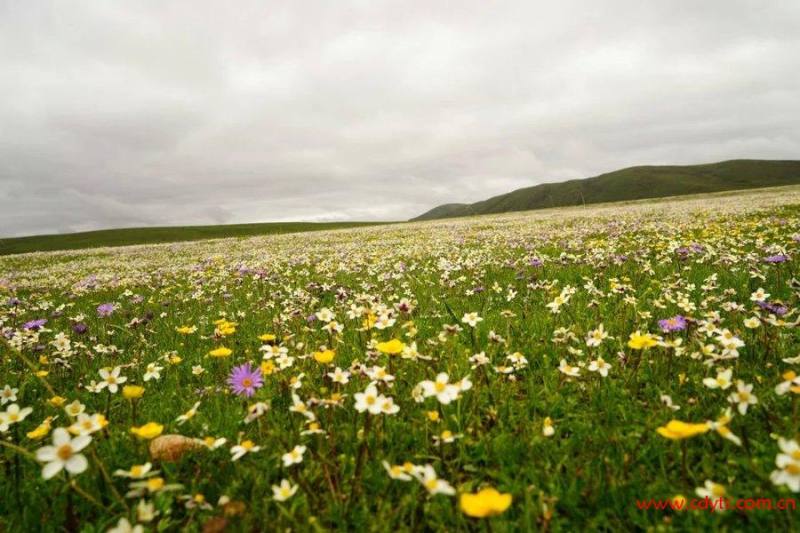 8329980_8329980_1434078691170_mthumb