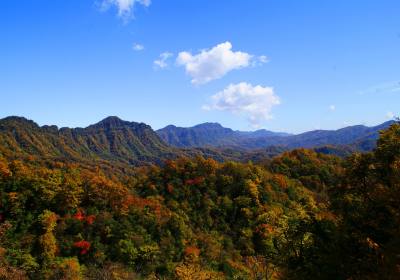 【2024真全景】成都到光雾山（桃园）+米仓山（大坝）+十八月潭汽车纯玩三日游、光雾山旅游跟团游报价多少钱