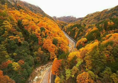 【2024顶级全景】成都到光雾山（米仓山）+恩阳古镇+十八月潭汽车纯玩三日游、光雾山旅游多少钱、光雾山旅游线路报价