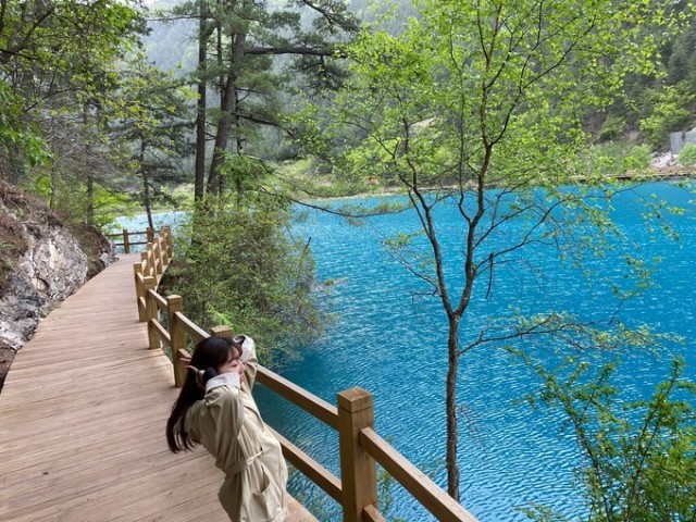 thumb_640_auto_52e3af9ce803ea4930dc78c61da997d6