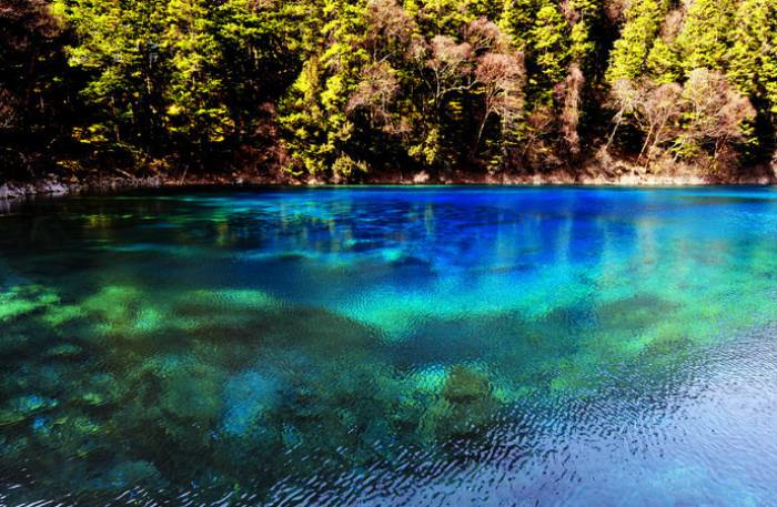 thumb_700_auto_b851ea93c9c368bd3796f65b5dd7d56a