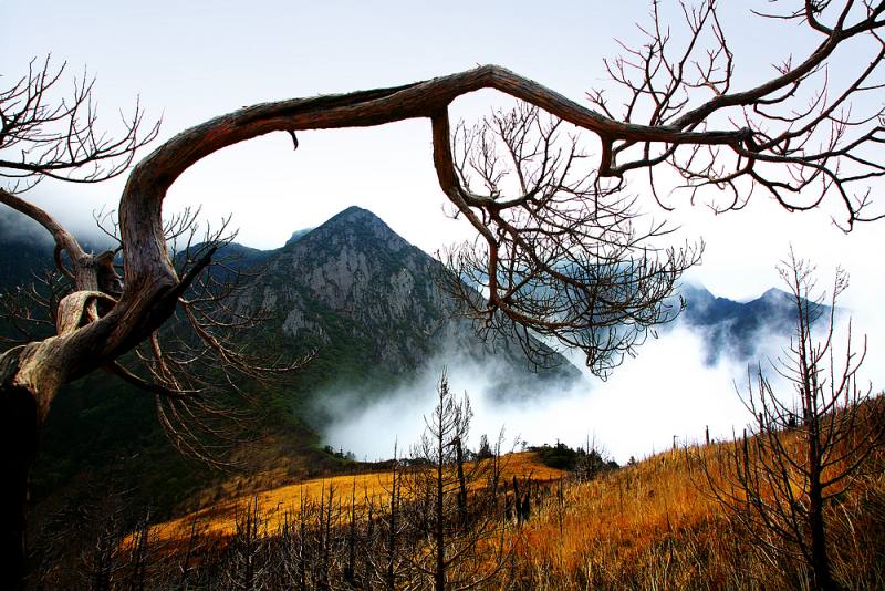 F2012011011161907054