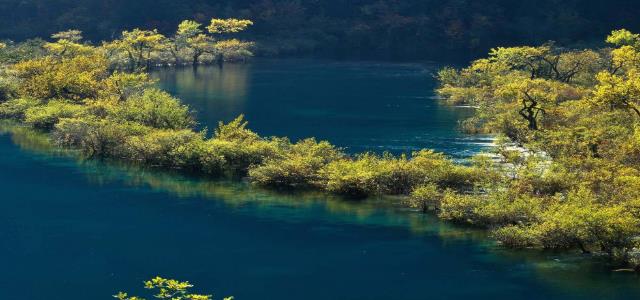 360截图20200823074946489