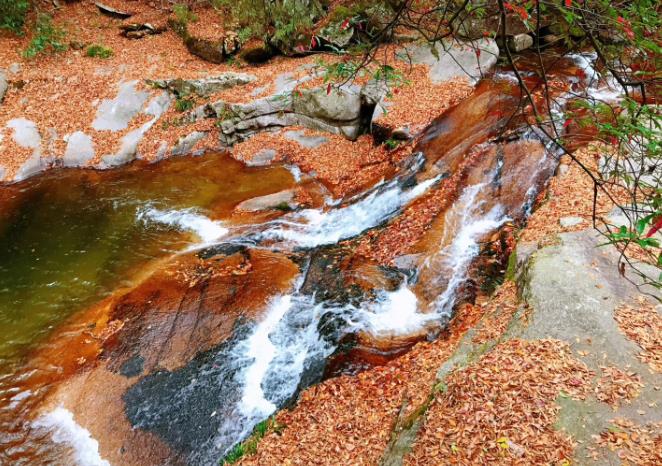 360截图20201012100724250