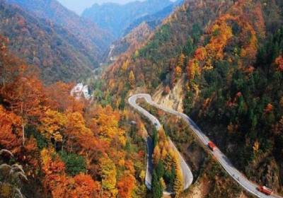 【三国无双】成都出发到光雾山+诸葛古镇+昭化古城纯玩三日游、光雾山三日游多少钱、光雾山旅游团三天费用