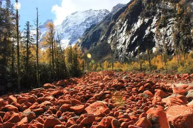 6ea22822a01e4ac3b85d8ccbfb280257