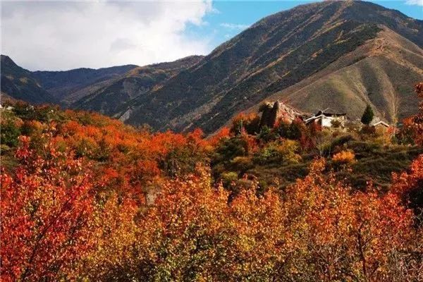 7ad02728ad994963bd51699a54d7e679