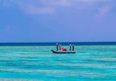 【长乐公主】成都到西沙群岛+全富岛+银屿岛+游轮四晚五日游、西沙群岛五日游多少钱、西沙群岛旅游团报价