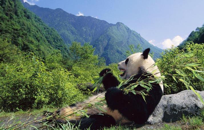 360截图20210714145046373