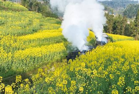 嘉阳小火车门票价格、犍为小火车门票多少钱