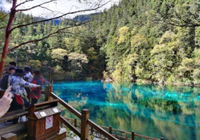 【520小团】成都到九寨沟+黄龙+若尔盖花湖+九曲黄河第一湾+莲宝叶则+各莫寺汽车纯玩五日游线路、川西五日游跟团旅游线路多少钱