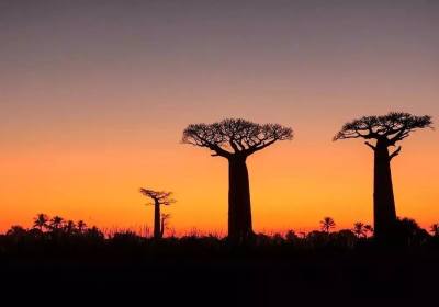 成都到马达加斯加+留尼旺+毛里求斯+塞舌尔十八日游线路、马达加斯加旅游跟团报价多少钱